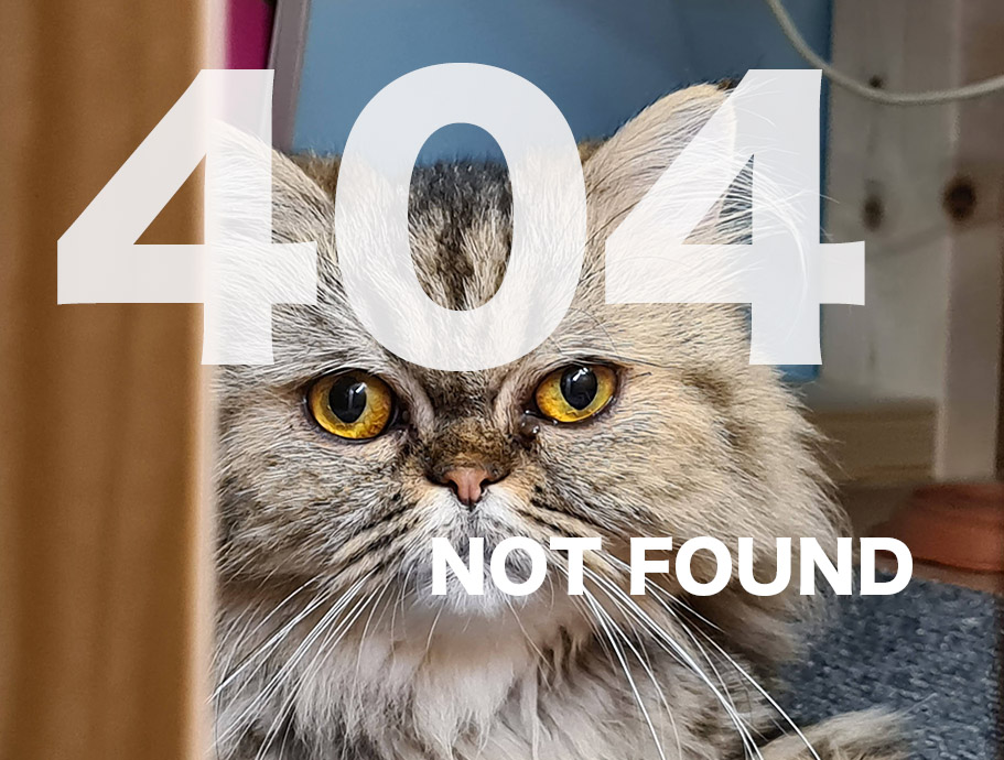 404 Not Found