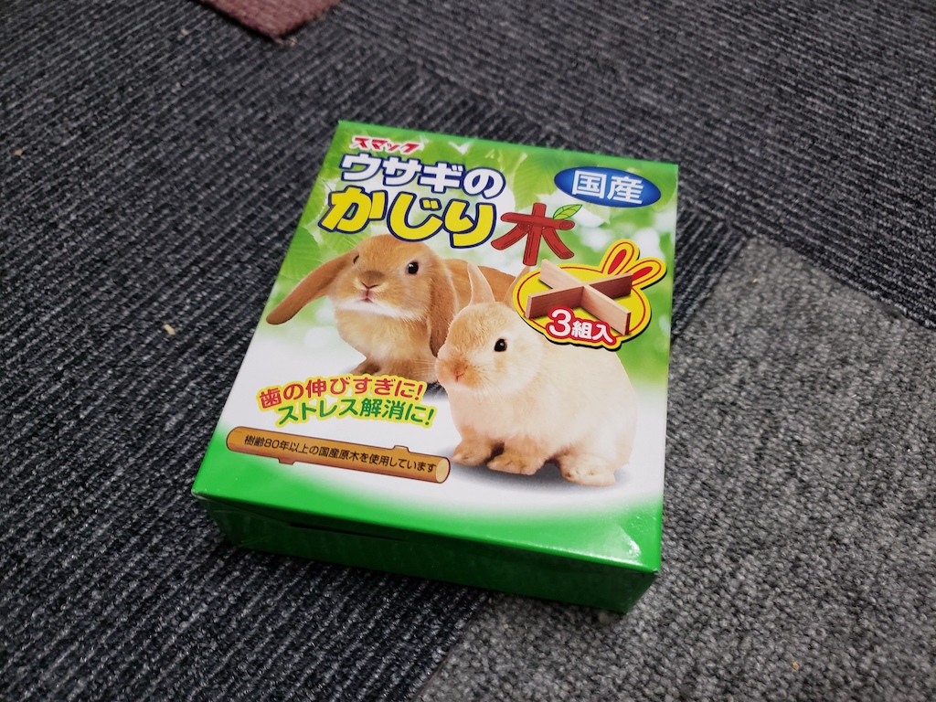 うさぎにかじり木を入れてあげたら喜んでくれました 東京上野の韓国語レッスンゆんみのブログ