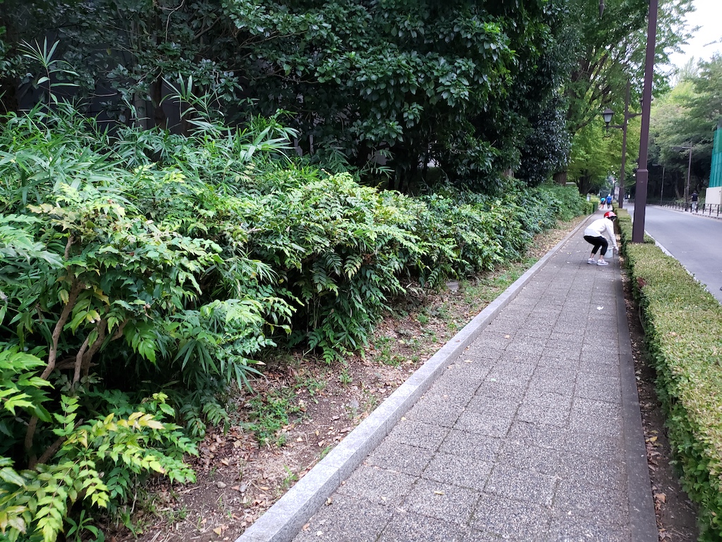 上野 公園 露出